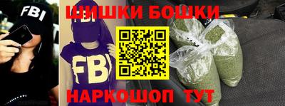 мдпв Гатчина