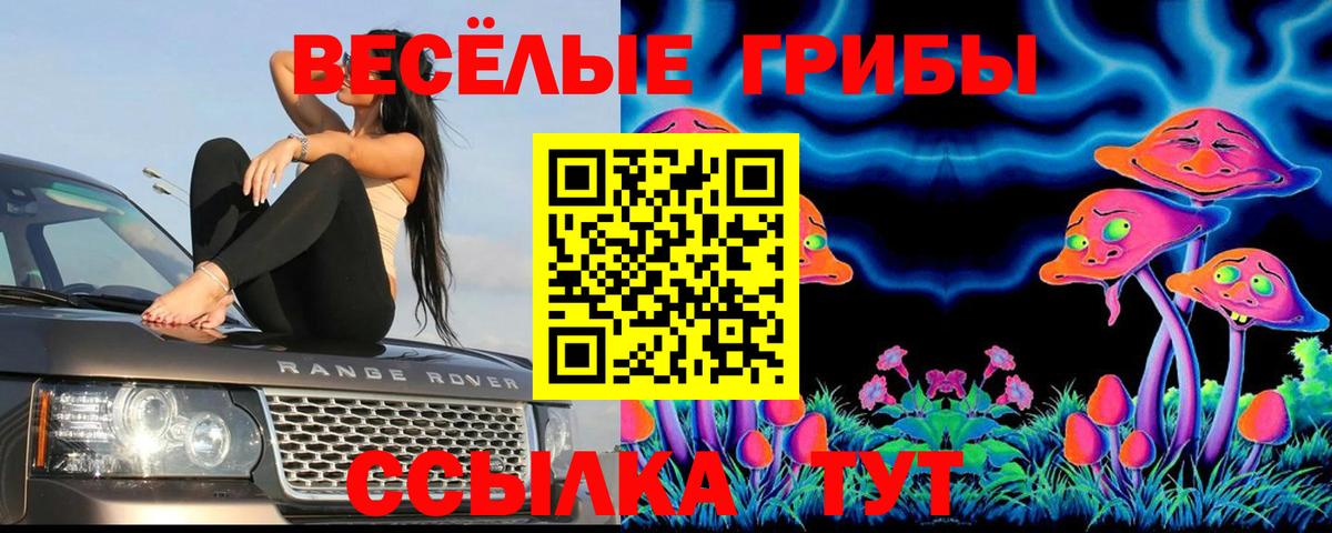 Мытищи  Галлюциногенные грибы ЛСД  Вход с VPN 